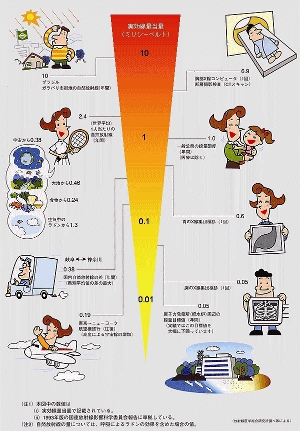 デジタルレントゲン/松戸市・市川市.jpg